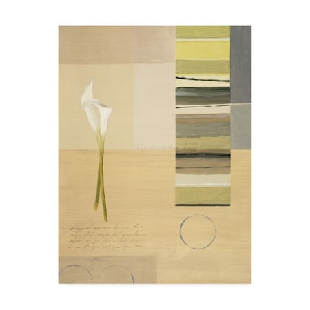 Pablo Esteban 'White Calla Lilies With Stripes' Canvas Art,35x47